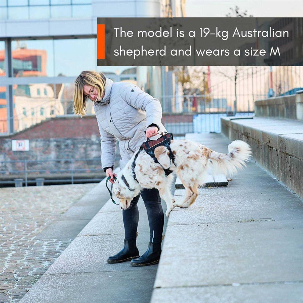Rock harness long A5512