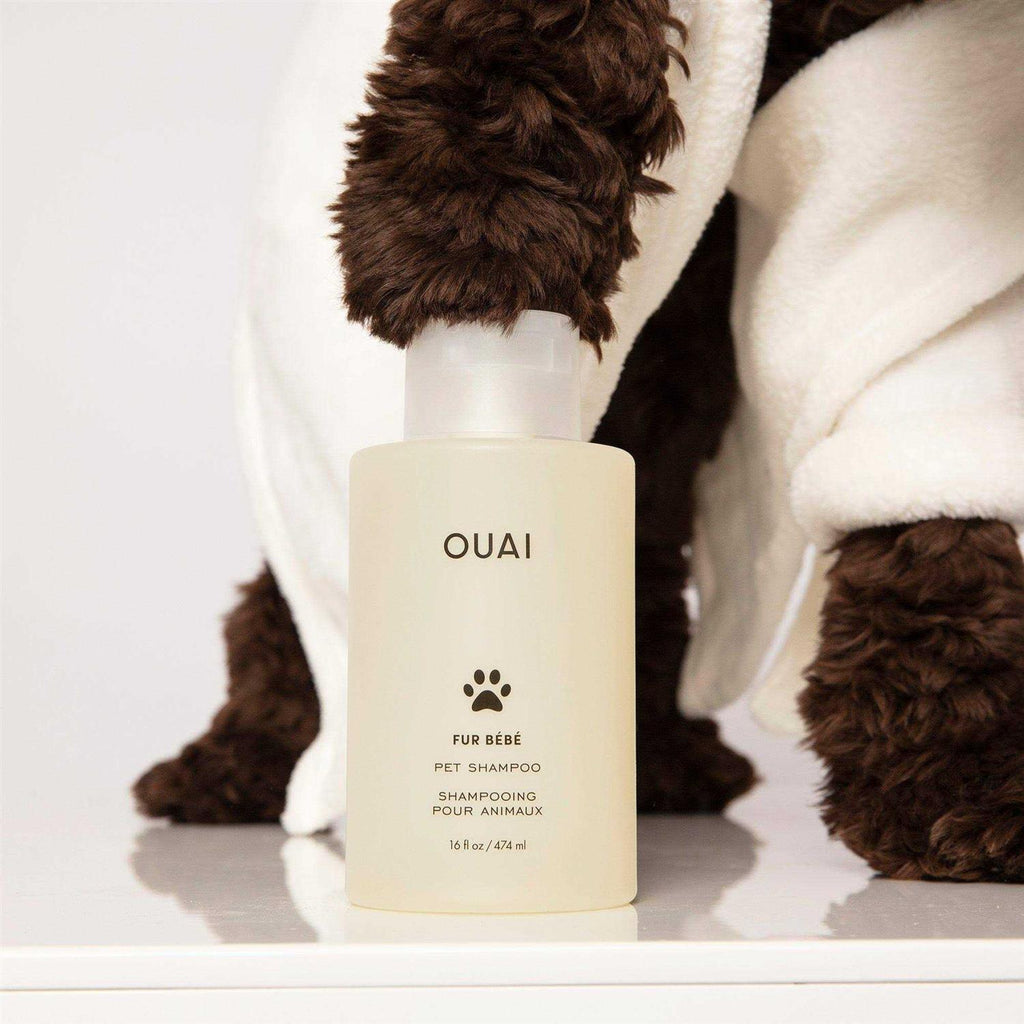 Pet Shampoo V239077