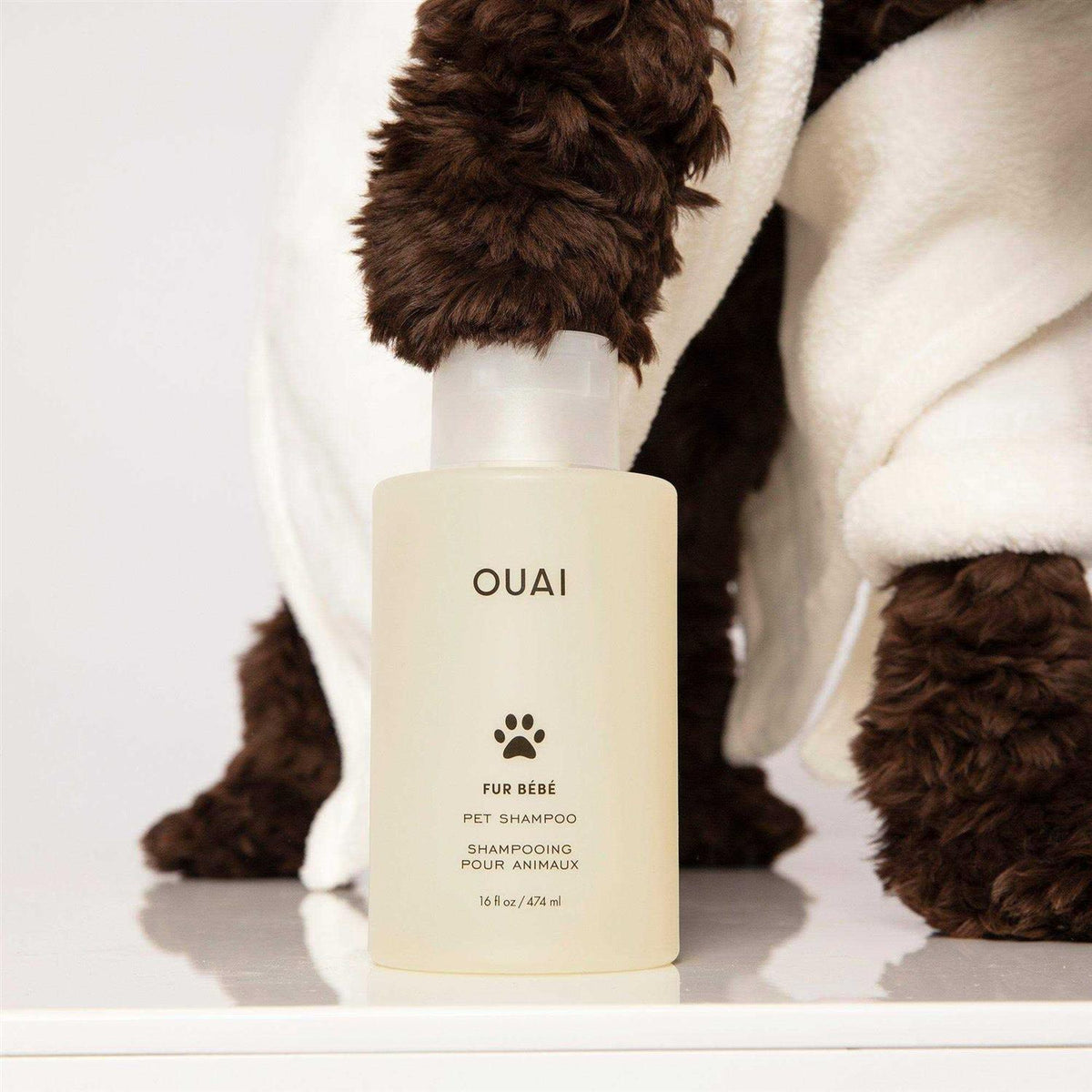 Pet Shampoo V239077
