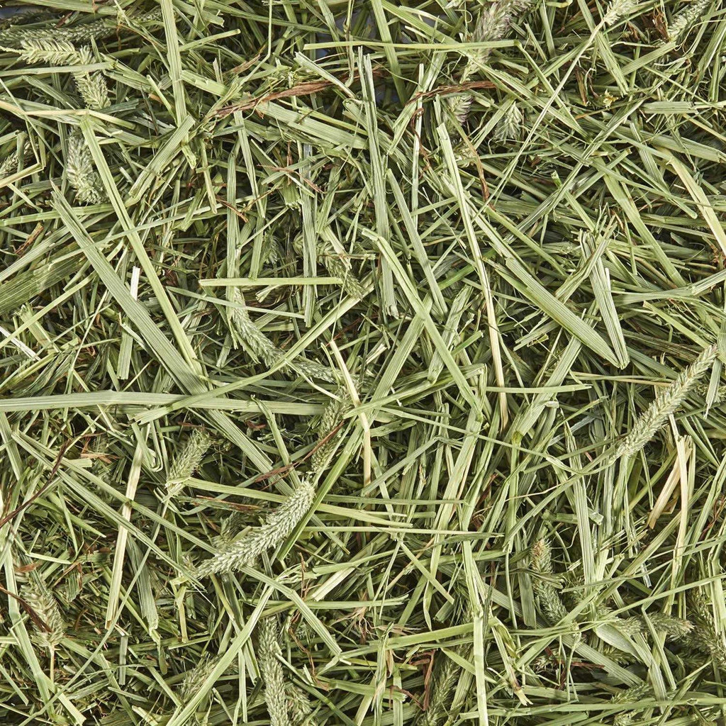 Natural Timothy Hay L332