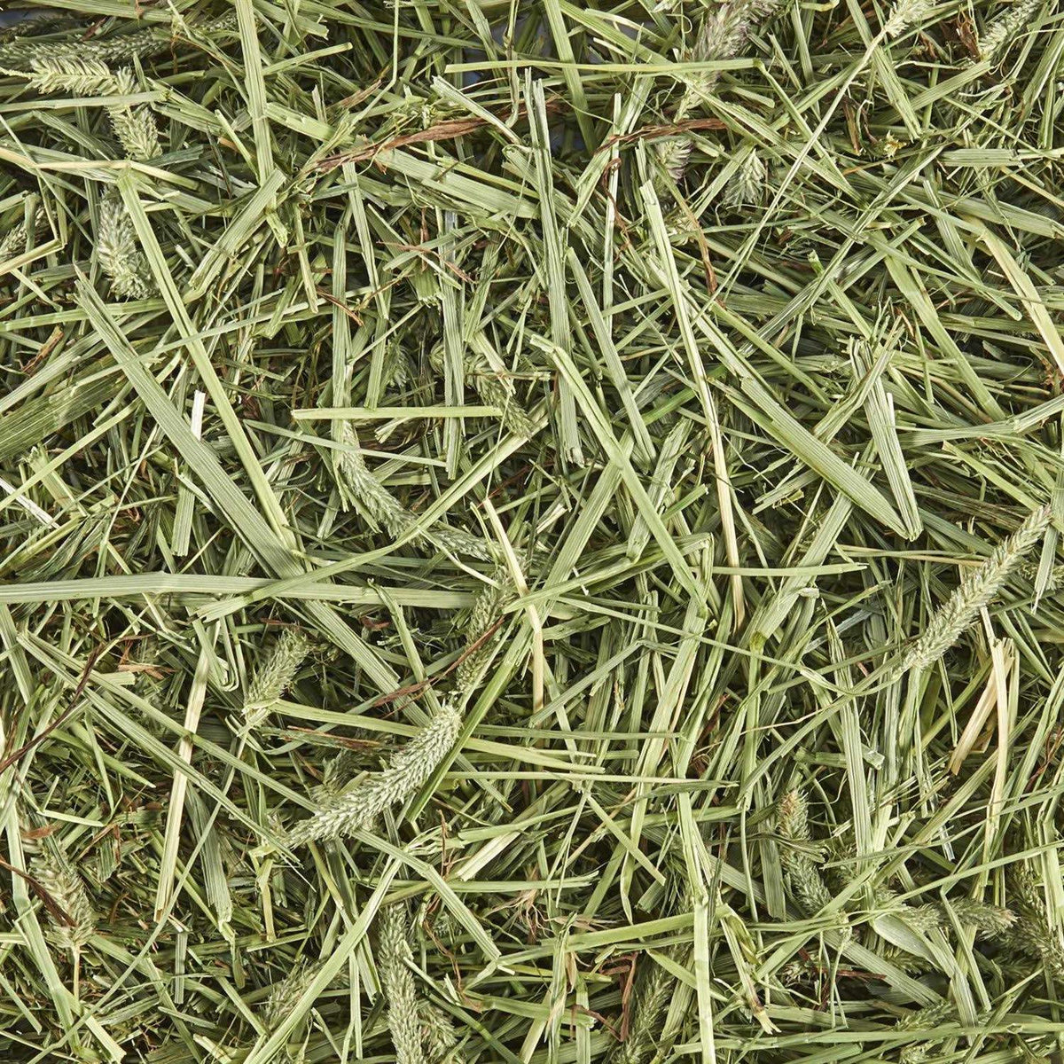 Natural Timothy Hay L332
