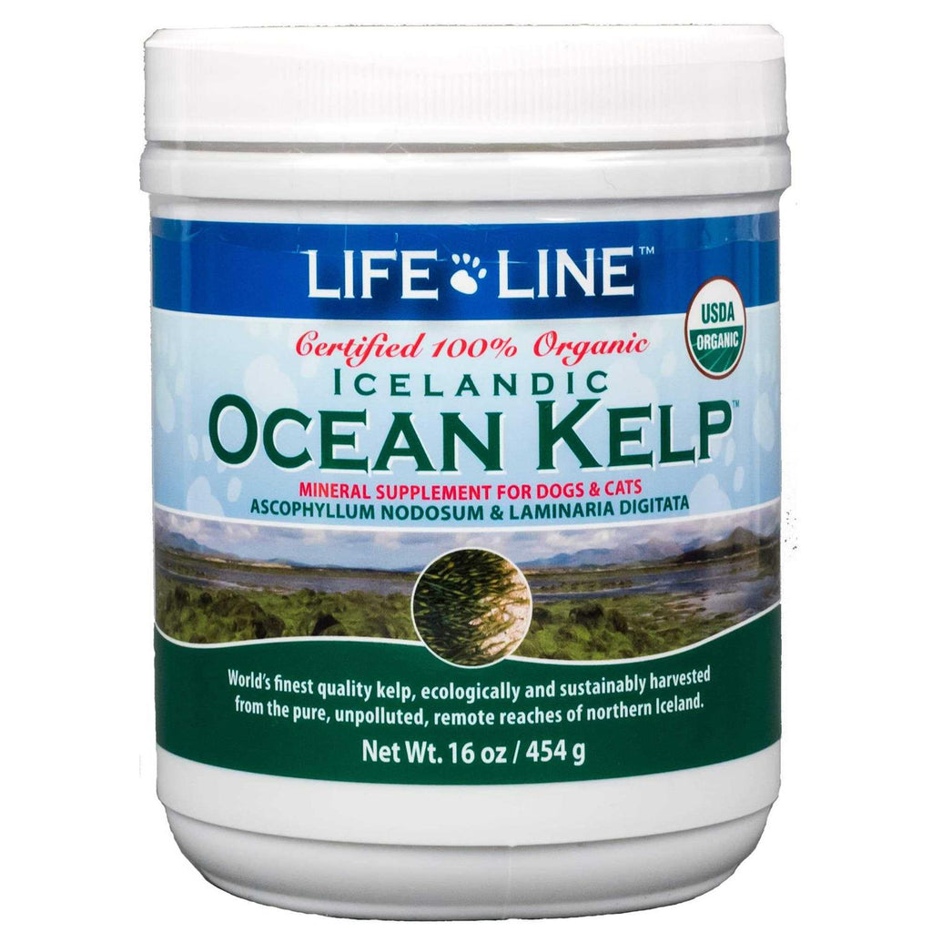 Ocean Kelp Dog & Cat Supplement O3269