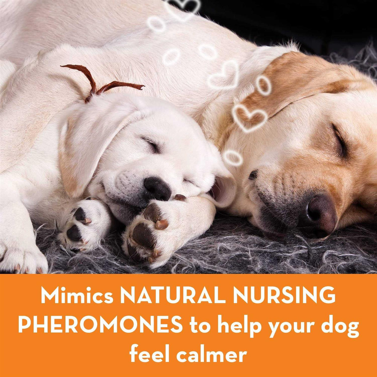 Calming Diffuser Kit Dog U5962
