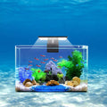6W 12 Led Aquarium Light H1594