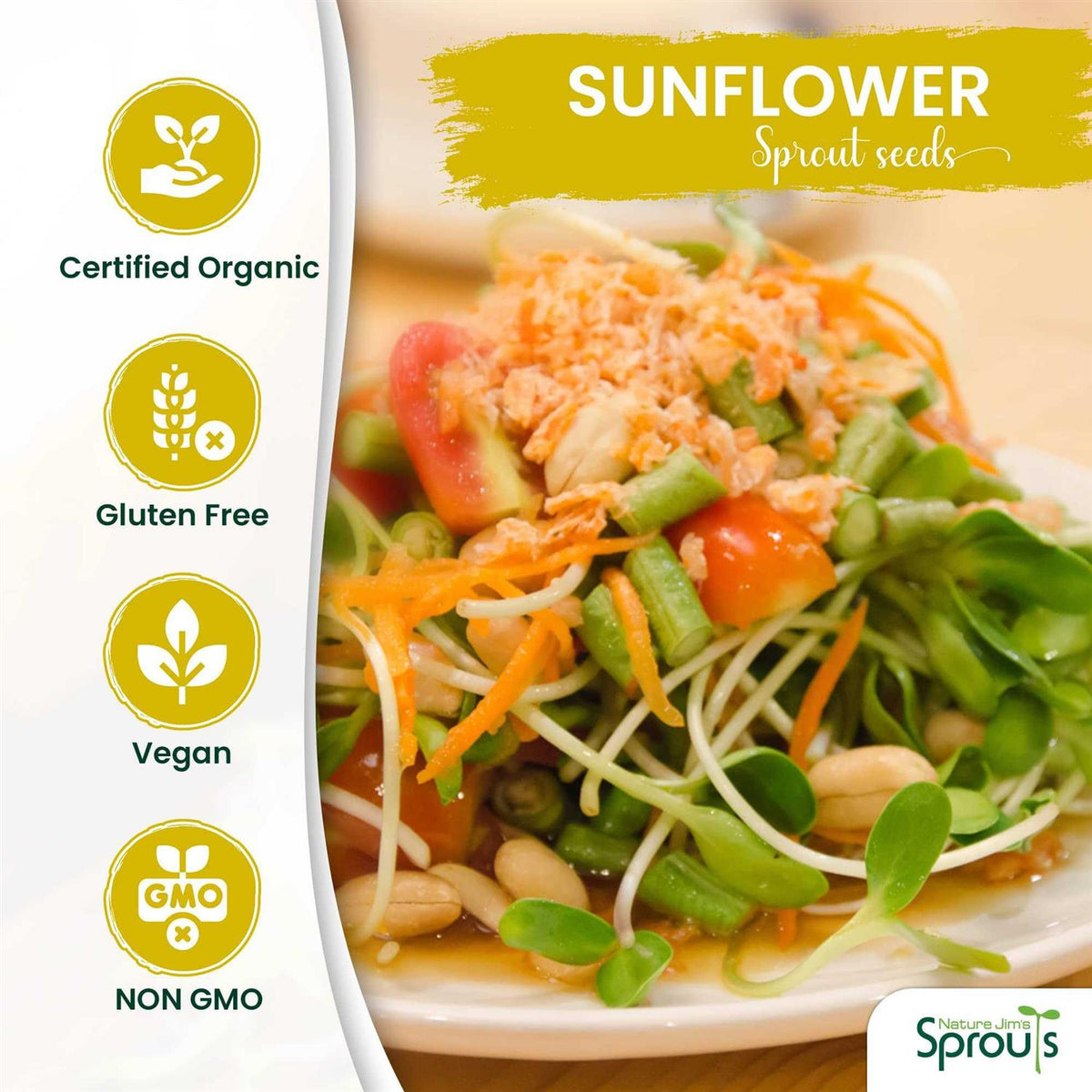 Certified Organic Black Oil Sunflower Seeds V981714