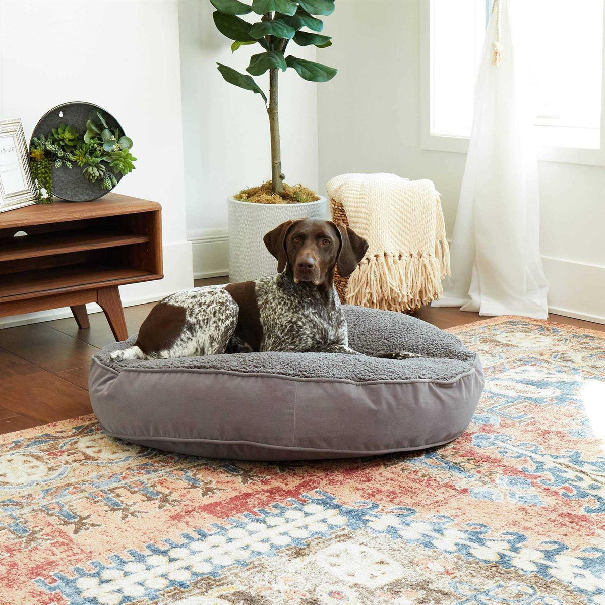 Round Dog Bed P958466