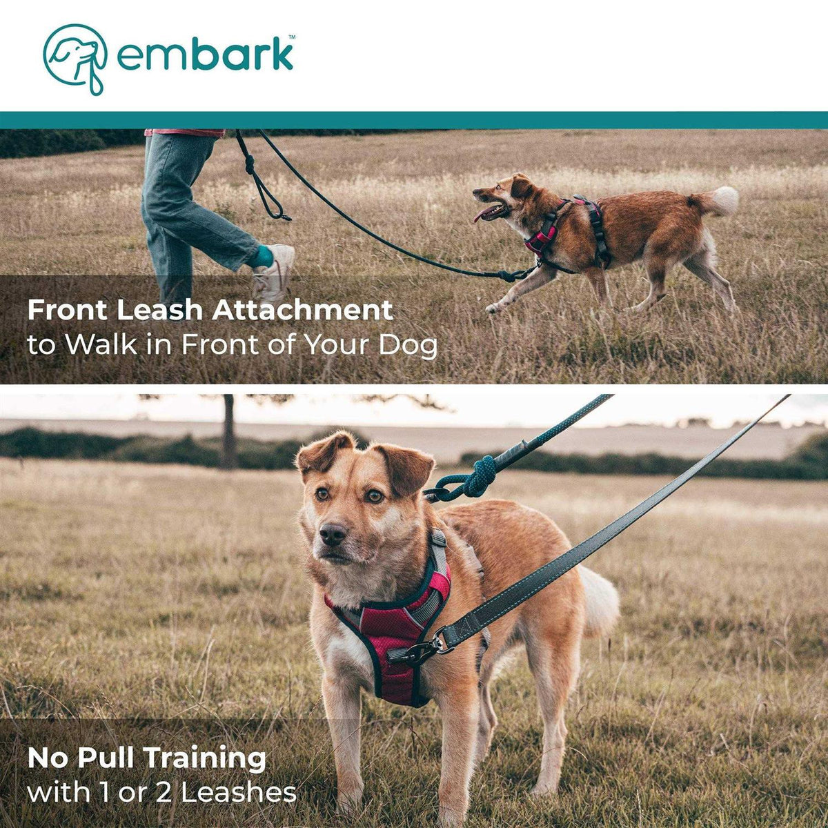 Dog Harness Leash P49303
