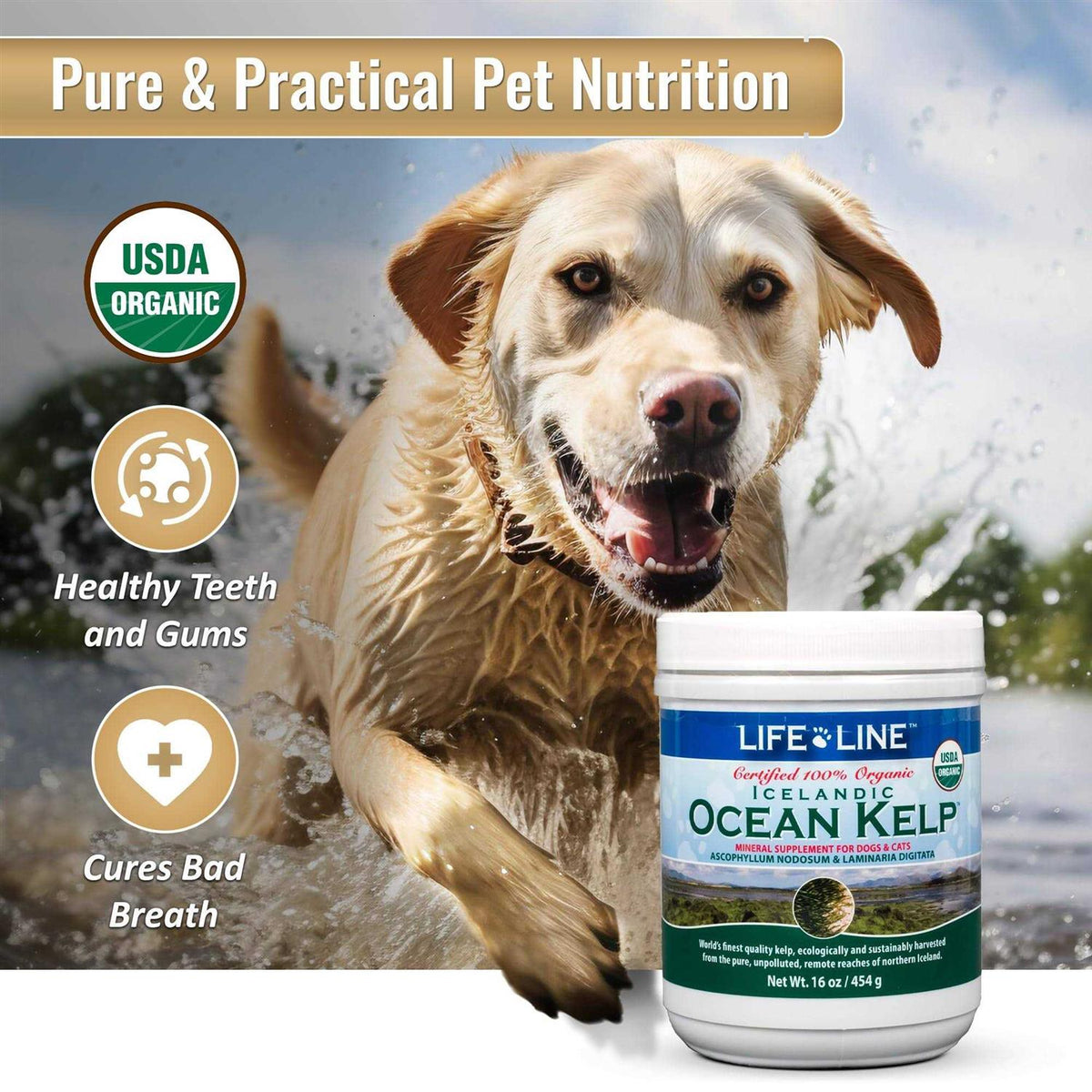 Ocean Kelp Dog & Cat Supplement O3269