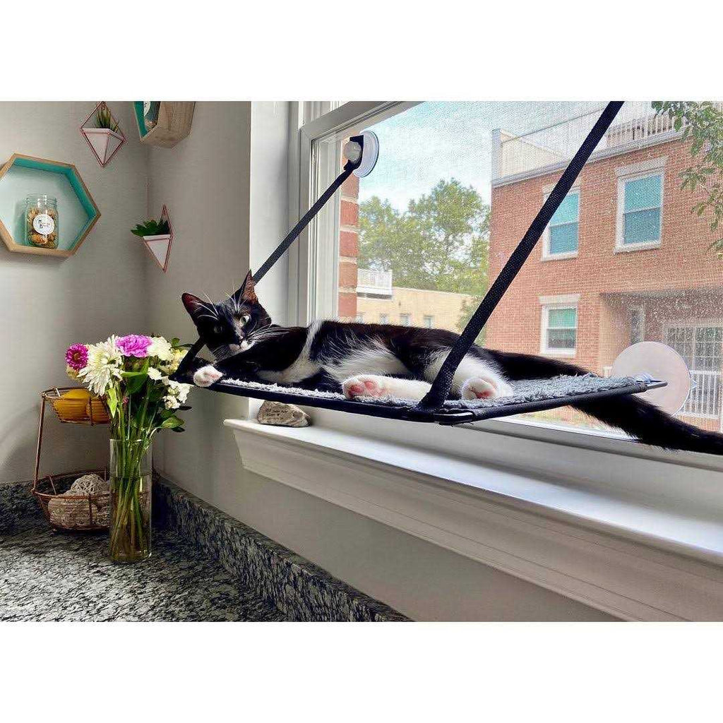 Window Kitty Sill X7372