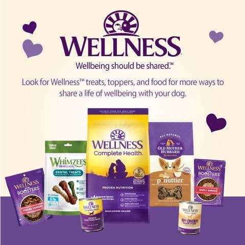 Dog Treats T5196