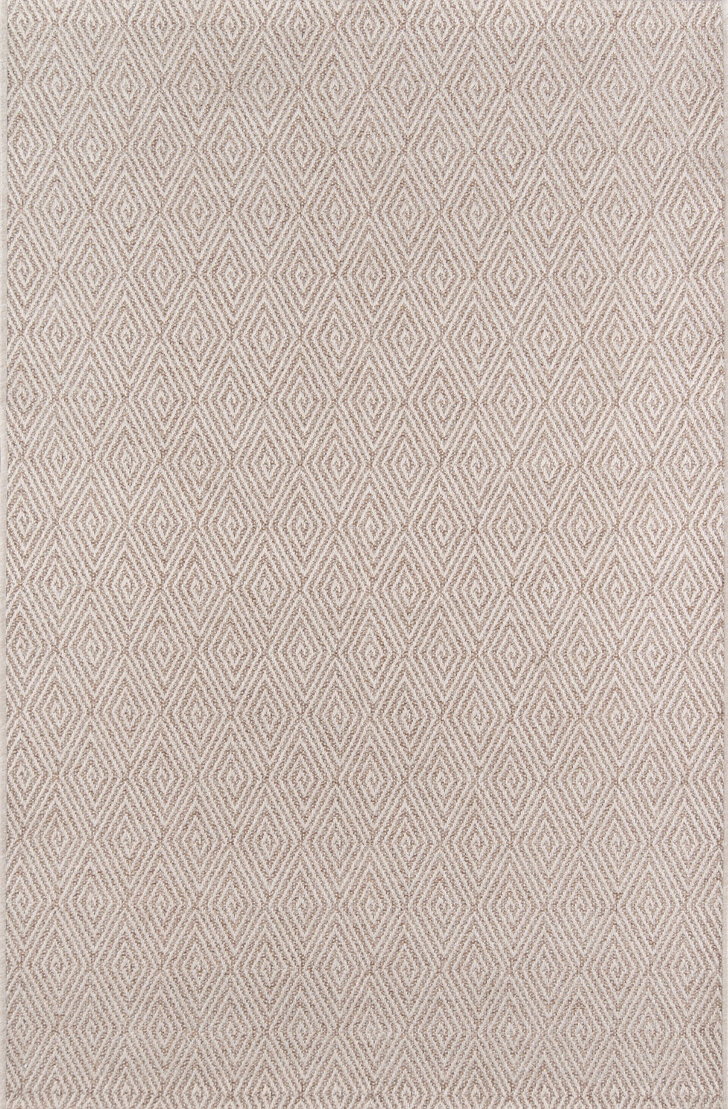 Natural Indoor Outdoor Rug 2' X 3' F42476