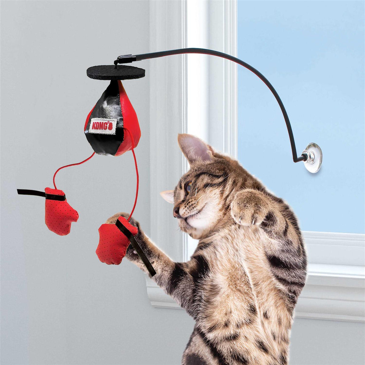 Window Cat Toy Q1721
