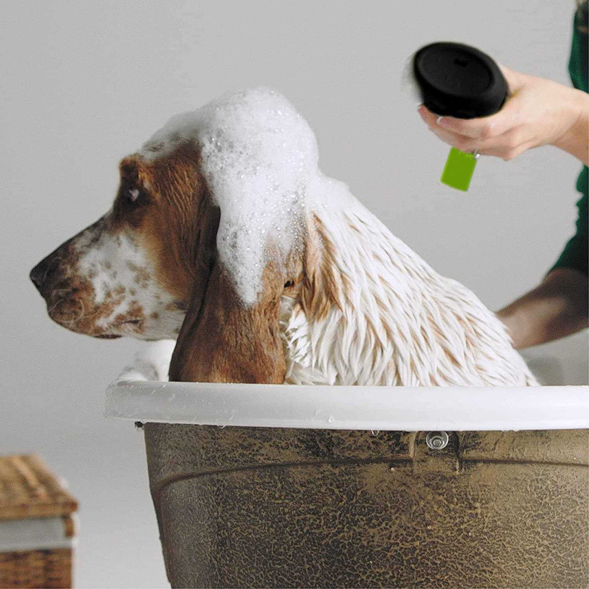 Dog Shampoo Sensitive Skin G987450