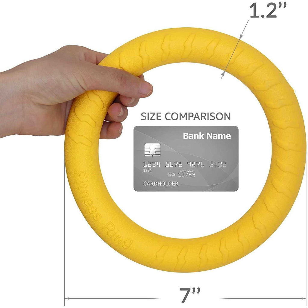 Dog Training Ring and Flying Disc Interactive Toy J352545