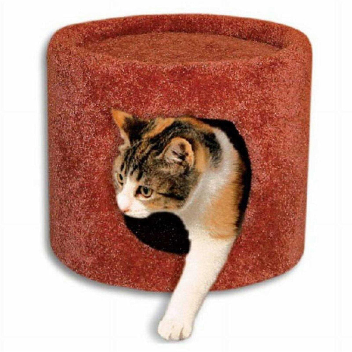 Cat Condo F54150