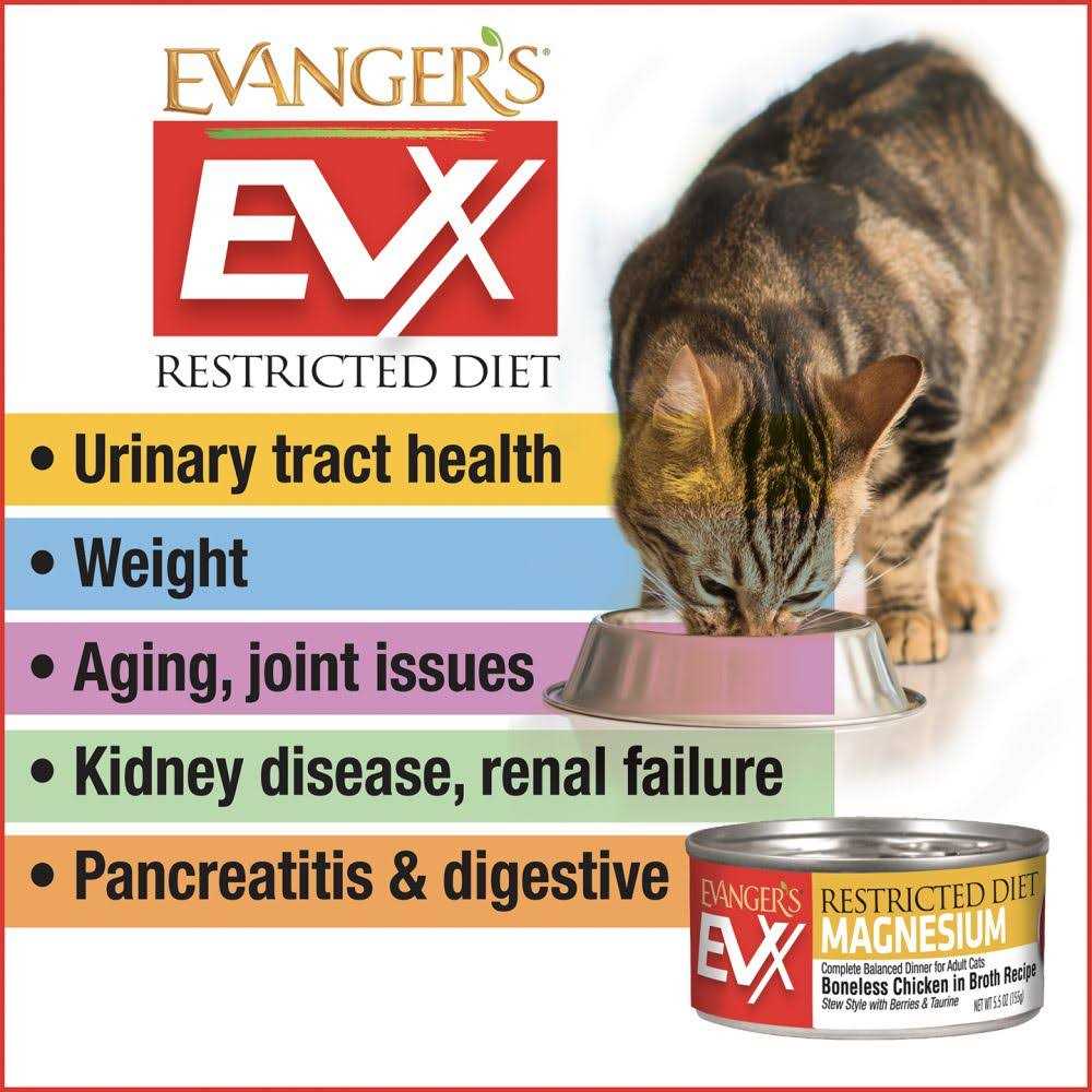 Beef Tips with Gravy Canned Cat Food E667748